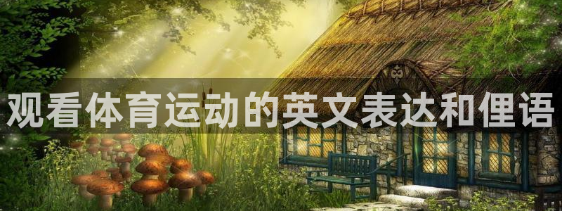 凯发官方正版app娱乐平台:观看体育运动的英文表达和俚语
