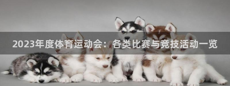 凯发官网下载平台注册流程图:2023年度体育运动会:各类比赛