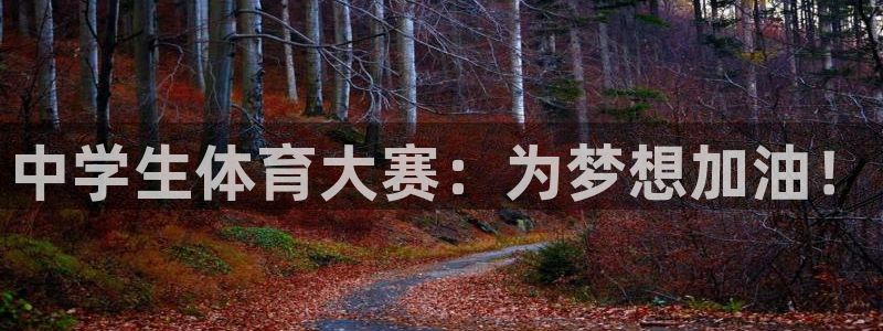 凯发官方正版app娱乐首页官网下载:中学生体育大赛:为梦想加