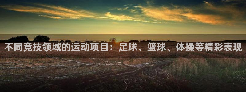 凯发官方正版app娱乐是那个系列的台子:不同竞技领域的运动项